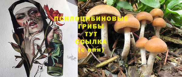 МДМА Абаза