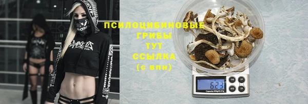 дурь Абдулино