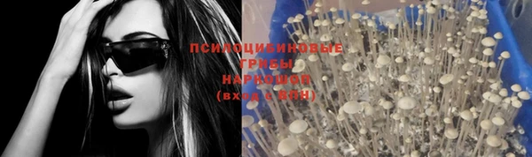 герыч Алзамай