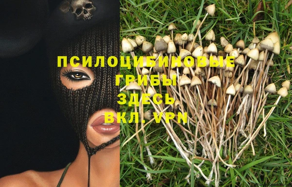 метадон Абинск