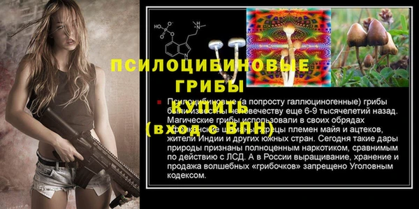 ГАЛЛЮЦИНОГЕННЫЕ ГРИБЫ Алексин