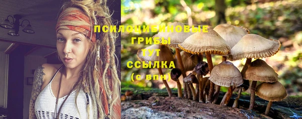 метадон Абинск