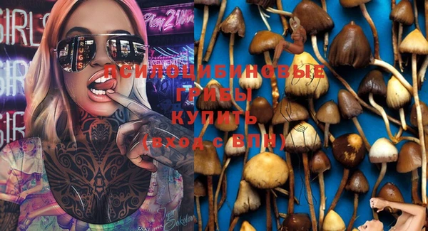 дурь Абдулино